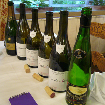 Verticales, horizontales, buenos vinos y mejores amigos…por Cantabria