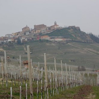 Piamonte. Barolo y Barbaresco 1ª Parte
