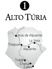 La nit del vi de la DOP València VIIª edició y VIIIª edició