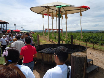 Fiesta de La Vendimia 2011, Querétaro (México)