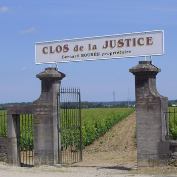 Pierre Bourée y su Charmes-Chambertin: el discreto encanto del clasicismo