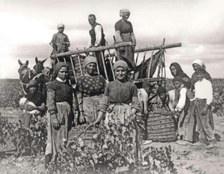 Gotas de Historia: Manuel Quintano