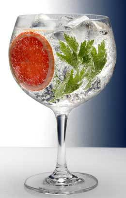¿Qué ginebra elegir para un buen gin tonic?