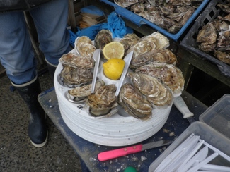 Esas me las zampé yo.