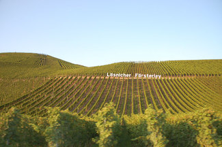 Todos los horizontes son iguales. Un vino blanco es más.