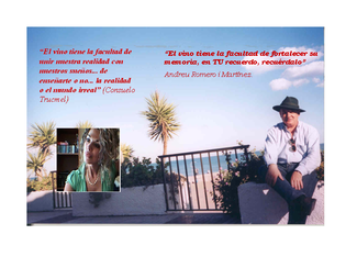 El vino como alimento funcional