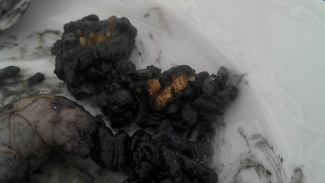 Restaurante Freiduria Chus en Grao de Castelló