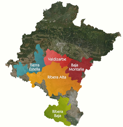 Visita al C.R.D.O. Navarra en el 10º Encuentro Verema