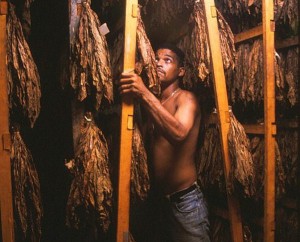 Tabacos Partagás, esencia habanera