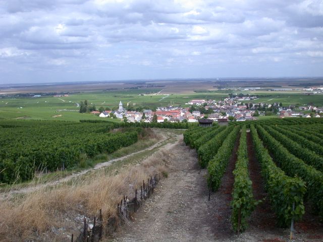 Descubriendo “vignerons” de Champagne: Bernard Brémont y José Dhondt