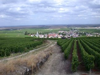 Descubriendo “vignerons” de Champagne: Bernard Brémont y José Dhondt