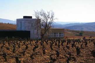 Losada 2008 - Mencia en suelos arcillosos
