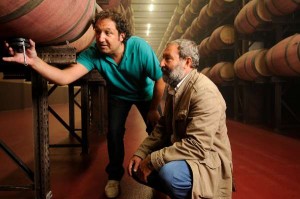 La tinta syrah, una variedad todoterreno