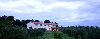 Cabeza del Hierro 2010