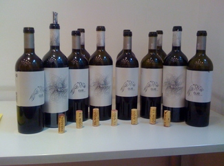 Clío Vs El Nido o La Materialización de un Sueño