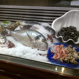 Pescado y marisco fresco cada día