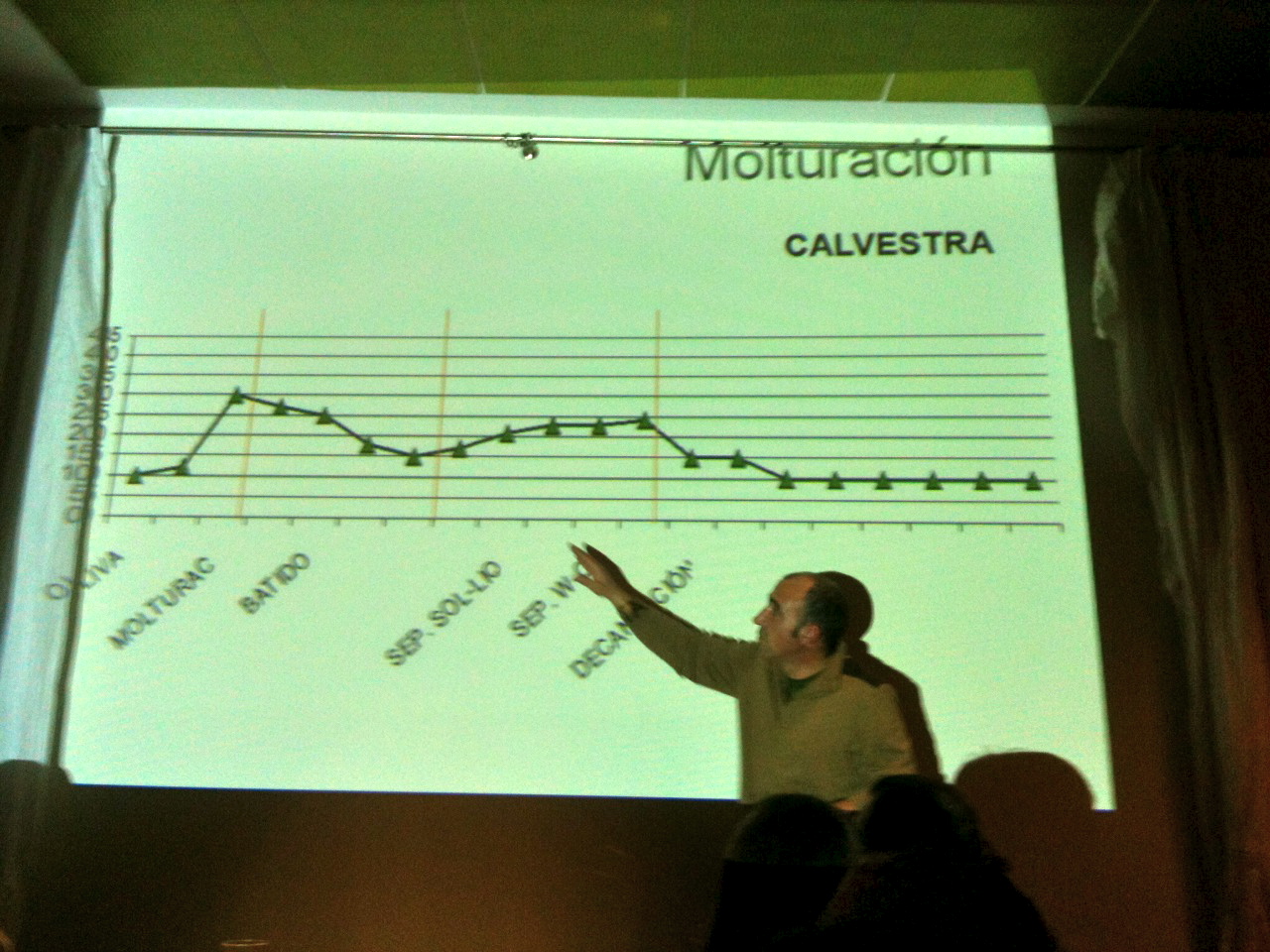Finca Calvestra: Un nuevo aceite de oliva Virgen Extra que dará mucho que hablar.