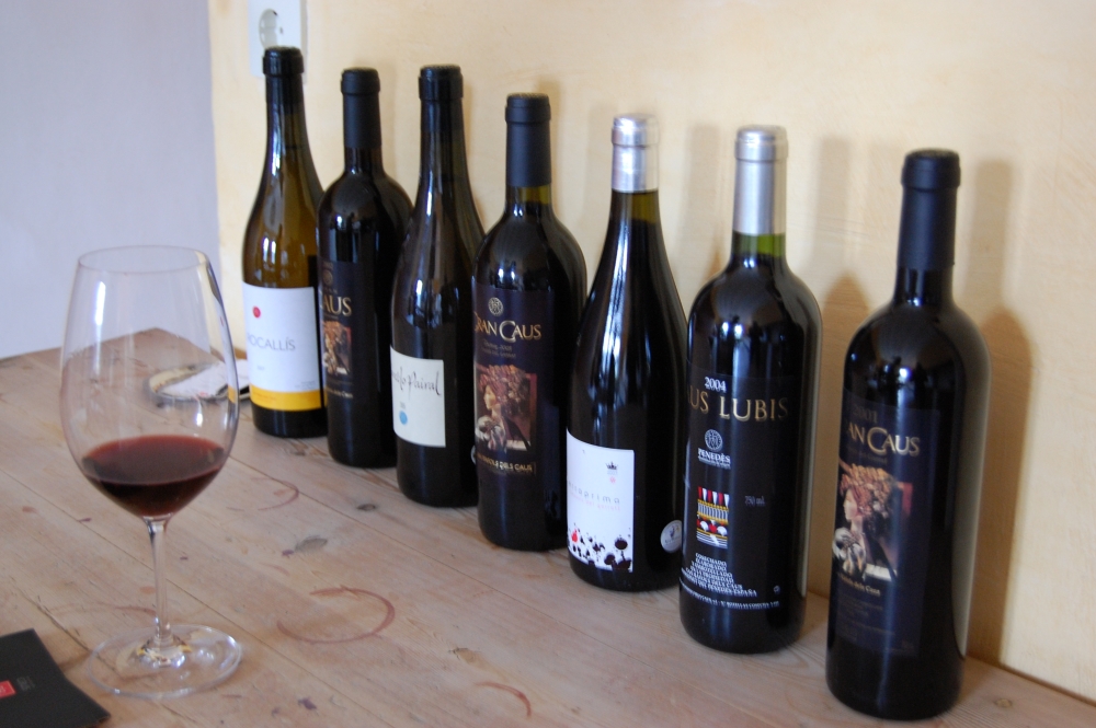 Can Ràfols dels Caus, el sueño de Carlos Esteva