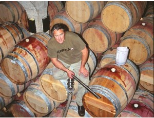 El renacer de los vinos de Sudáfrica