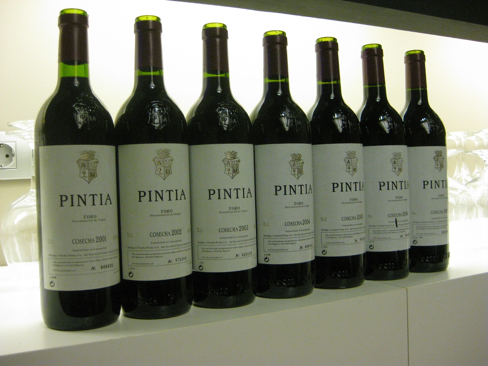 Vertical de Pintia 2001-2007