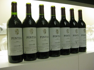Vertical de Pintia 2001-2007