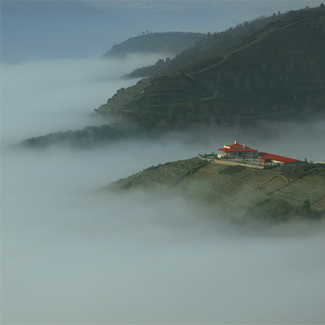 Regina Viarum entre nieblas