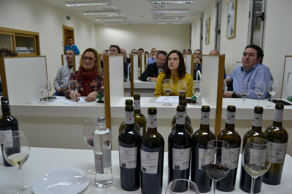 Viñedos Culturales de Bodegas Bernabé Navarro