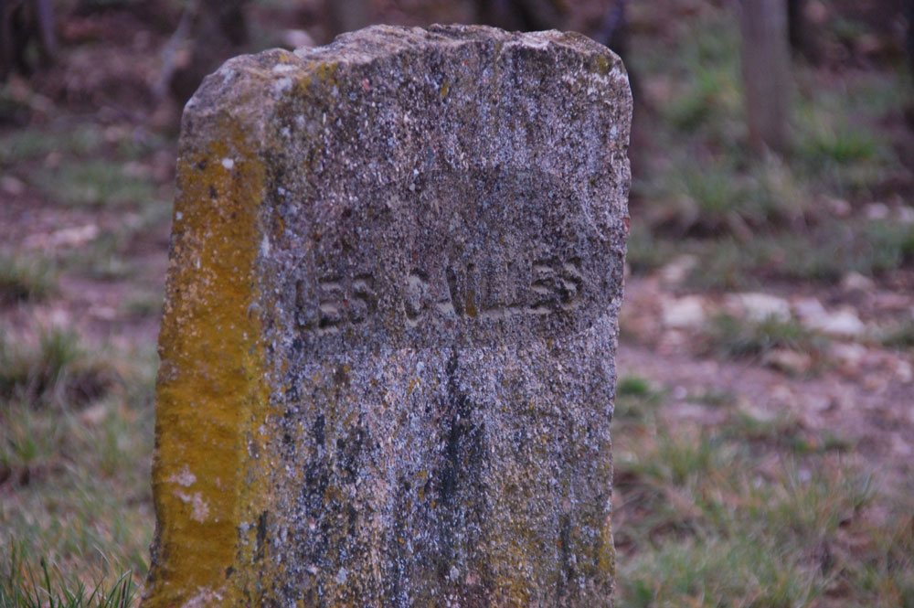 Desde Borgoña con Gómez Legorburu, un paseo por los viñedos del Paraiso (en busca del viaje definitivo).