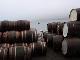 La diversidad del whisky de malta
