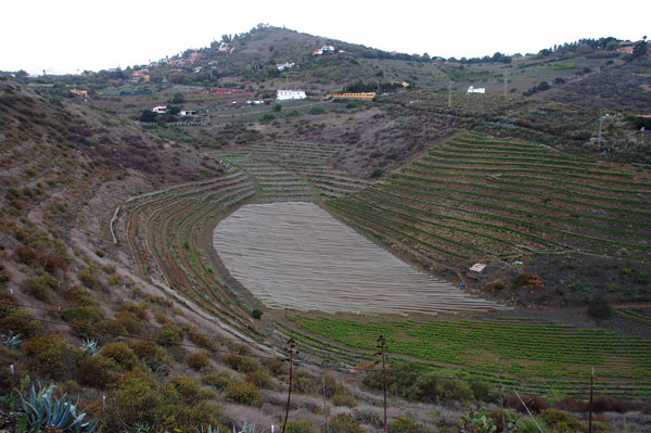 Ruta de vinos: Bodega Hoyos de Bandama y Gabriel Morales