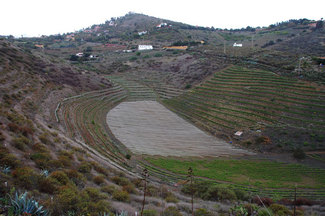 Ruta de vinos: Bodega Hoyos de Bandama y Gabriel Morales