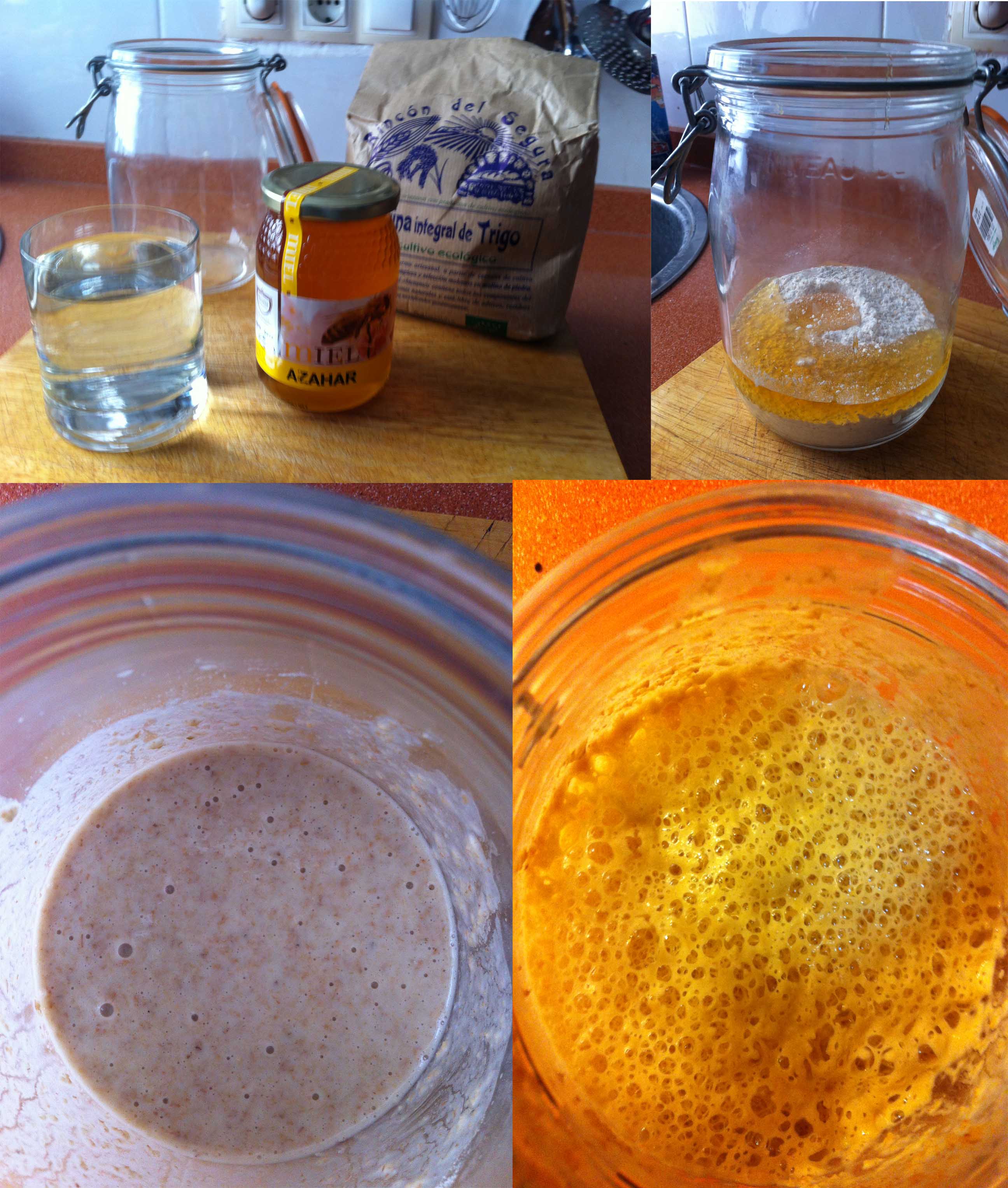 Receta de Masa Madre: haz tu pan en casa.