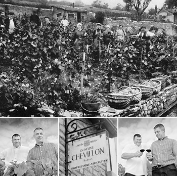 Robert Chevillon, el caballero de Nuits-St-Georges