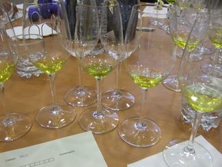 Cómo catar aceite de oliva