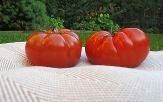 Ventresca de bonito en rodaja de tomate.