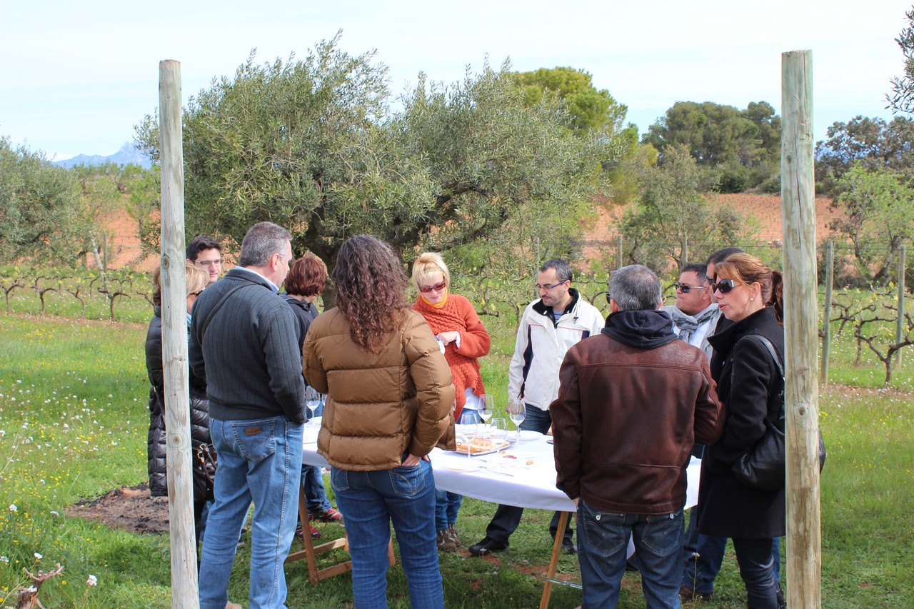 Visita a Cava Recaredo