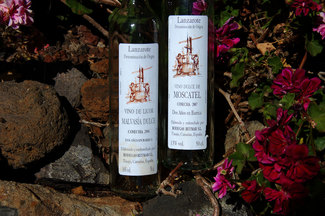 Bodegas Reymar, un afortunado en Lanzarote, un panal de moscatel y una copa de malvasía.