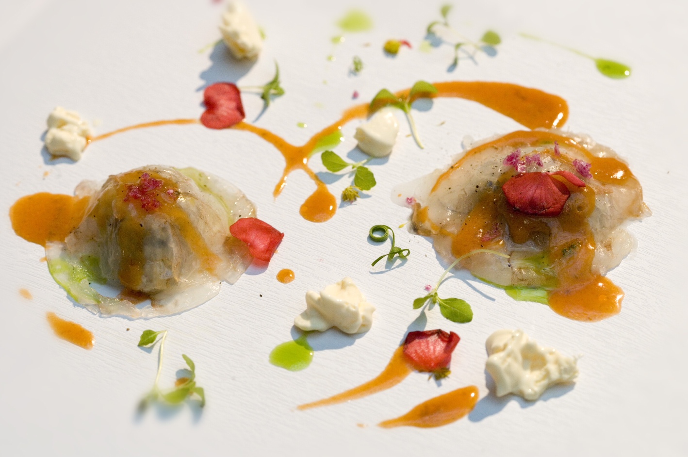 Bodegas Torres vuelve a reunir en Madrid 5 grandes maestros de la cocina.