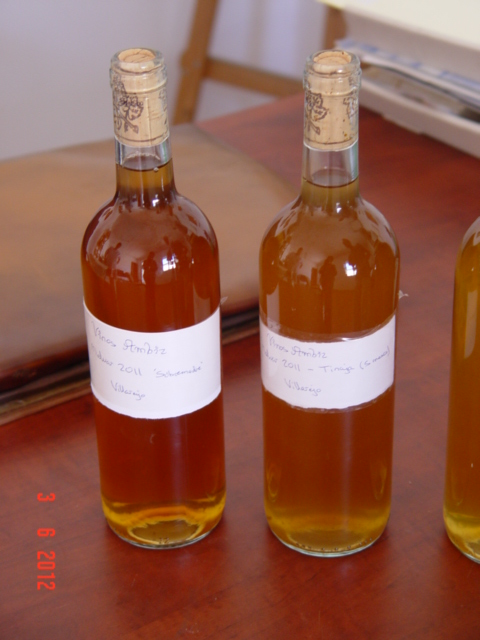 Visita a Viñedos de Vinos Ambiz. Carabaña-Villarejo. Madrid. En la naturalidad de Fabio Bartolomei y Nacho bueno