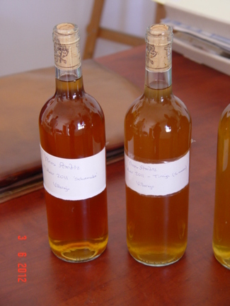 Visita a Viñedos de Vinos Ambiz. Carabaña-Villarejo. Madrid. En la naturalidad de Fabio Bartolomei y Nacho bueno