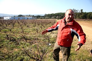 Los viticultores de Calonge (Girona): El vino de la resistencia.