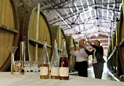 Bodegas Torres ofrece una amplia variedad de actividades de enoturismo para todos los gustos