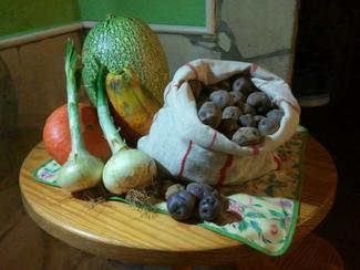 comida de exposicion