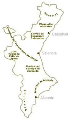El aceite de oliva en la Comunidad Valenciana