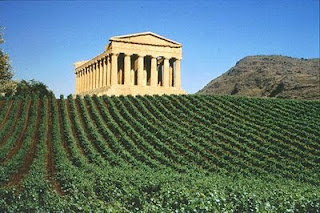 Tenuta Terre Nere, volcánica elegancia