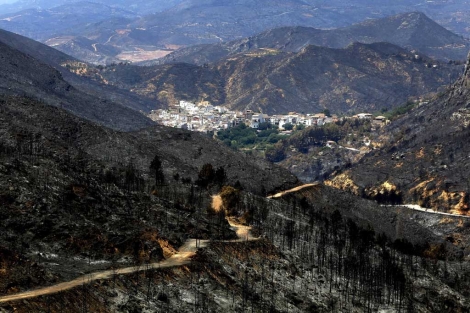 Bodegas Vicente Gandia colaborará en el reforestación de Cortes de Pallás y Andilla