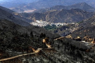 Bodegas Vicente Gandia colaborará en el reforestación de Cortes de Pallás y Andilla
