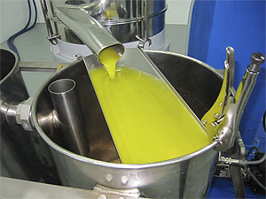 Del aceite de oliva, el AOVE y sus nombres