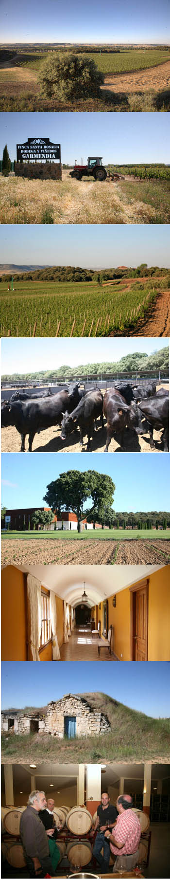 Finca Santa Rosalía: una explotación integral