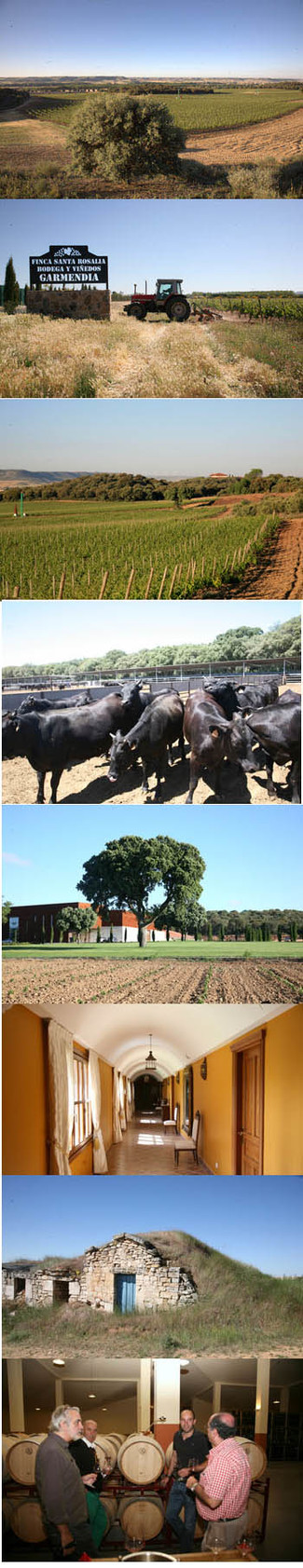 Finca Santa Rosalía: una explotación integral